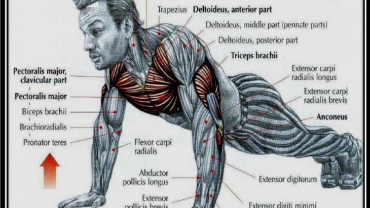 Doğuş Spor Teknik Kurul Hafta Sonu Sokağa Çıkma Yasağında Şınav Mekik Yarışı Başlattı