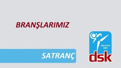 Satranç