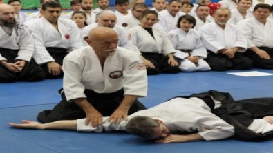 Aikido Teknikleri