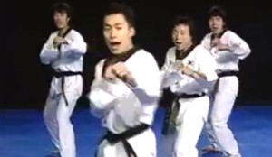 Korean National Taekwondo Demo Team